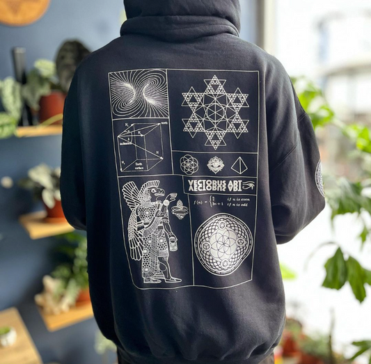 Vectorus Hoodie