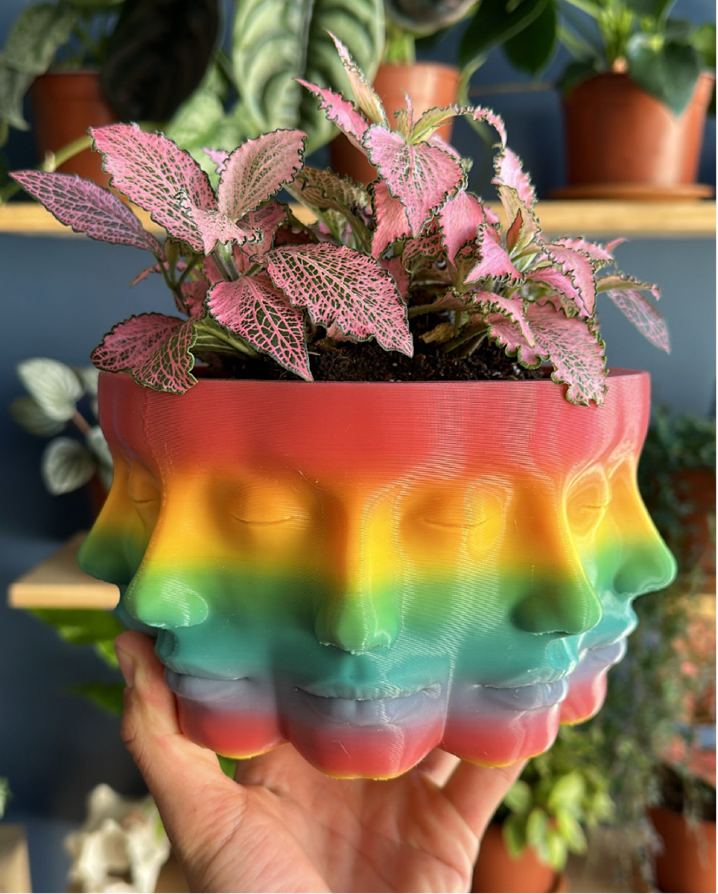 Mirror Face 3D Print Planter